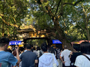 全2冊 鄉(xiāng)土中國+紅樓夢（精裝）贈考點手冊 費孝通原著完整版高中必讀正版名著高中生課外書配套人教版教材配套閱讀 曬單實拍圖
