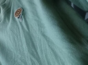 婧麒德絨秋衣套裝保暖分體寶寶內衣高腰護肚內穿衣服男童女 Jtz193581 曬單實(shí)拍圖