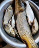釣魚(yú)餌料野釣通殺老三樣藍鯽速攻918黑坑綜合餌四季通用全能魚(yú)餌 藍鯽+大野戰腥版+速攻腥味110克 曬單實(shí)拍圖