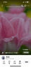 WIS玻尿酸面膜20片抗皺緊致曬后修護(hù)補(bǔ)水保濕護(hù)膚品送女友生日禮物 曬單實(shí)拍圖
