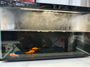 當(dāng)貝智能生態(tài)魚缸1Ultra 一體缸自循環(huán)魚缸+希騰聚財(cái)山造景套餐 曬單實(shí)拍圖