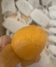 優(yōu)味集【順豐快遞】枇杷新鮮水果云南蒙自琵琶止咳整箱鮮果中秋節日禮品 凈重500g（嚴選優(yōu)果18-30g） 曬單實(shí)拍圖