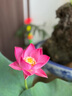 德力西鐵皮剪刀工業(yè)龍骨航空鋁扣板彎嘴不銹鋼輕鋼鐵絲專用大剪子 曬單實拍圖