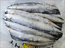 格雷緣深海秋刀魚(yú)新鮮海捕特大號 鮮活冷凍日式料理燒烤海鮮水產(chǎn)魚(yú)類(lèi) 秋刀魚(yú)10斤裝 2號秋刀 曬單實(shí)拍圖