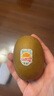 佳沛（zespri）新西蘭陽光金奇異果 8個裝 特大果單果重約122-146g 水果獼猴桃 曬單實拍圖