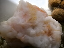 安井 蝦滑 500g 蝦仁含量高 火鍋麻辣燙食材 速食熟食海鮮水產(chǎn) 曬單實(shí)拍圖