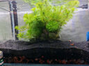 森森（SUNSUN）魚缸過濾器壁掛式抽水泵外置小型過濾桶YBG-400 5W 曬單實(shí)拍圖