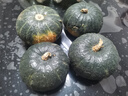 京鮮生＆佳農(nóng) 山東貝貝南瓜凈重4.5斤4-8頭單果約280g+香甜爆粉源頭直發(fā) 曬單實拍圖