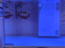 喜高超白玻璃魚(yú)缸智能魚(yú)缸免換水小型客廳水族箱一體式過(guò)濾氧氣魚(yú)缸 白-魚(yú)缸標配 600*268*322mm 曬單實(shí)拍圖