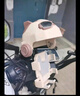 HAWEIWIND電動車手機(jī)架小頭盔電瓶車外賣導(dǎo)航支架遮陽防抖自行車騎行支架 咖色+咖色頭盔【鏡座款】 曬單實拍圖