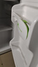 新飛 FRESTEC冰箱小型租房用 一級(jí)能效冷 藏冷凍兩用1-2人家用小冰箱 出租房雙門電冰箱辦公室兩門 25年升級(jí) 76A128LS一級(jí)能效【保鮮盒款】 曬單實(shí)拍圖