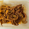 海鮮君 麻辣魷魚須100g 曬單實(shí)拍圖