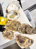 鮮海道 鮮活乳山生蠔2XL 凈重5斤 17-21只 生鮮海鮮貝類 源頭直發(fā) 曬單實拍圖
