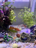 魚缸蘑菇屋擺件陶罐躲避洞創(chuàng)意陶瓷套餐裝飾屋造景蝦窩蝦罐躲避屋 【小蘑菇+小蝦屋】組合 曬單實(shí)拍圖