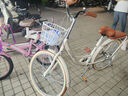 飛鴿（FLYING PIGEON）自行車成人通勤車自行車學(xué)生單車成人自行車通勤自行車女士自行車 標(biāo)配奶油米|單速|(zhì)輻條輪+禮包 24寸適合150-170cm 曬單實拍圖