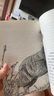 正版 狼王夢 動物小說大王沈石溪全套40冊36冊 沈石溪全集品藏書系 狼王夢斑羚飛渡最后一頭戰(zhàn)象等兒童文學中小學生課外書 沈石溪動物小說全套 當當書店官方旗艦店  升級版（黃綠特輯 套裝共12冊） 曬單實拍圖
