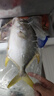翔泰 海南金鯧魚(yú)凈重900g 2條裝  魚(yú)類(lèi)生鮮 燒烤 火鍋食材 海鮮水產(chǎn) 曬單實(shí)拍圖
