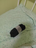 有棵樹男士襪子男純棉中筒襪10A抗菌防臭商務襪吸汗透氣抗起球休閑長襪 曬單實拍圖