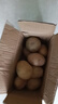 東坡嘴25年河南新鮮小土豆黃心粉糯面馬鈴薯洋芋蔬菜 新鮮土豆2斤小果 曬單實(shí)拍圖