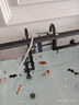 精品金魚(yú)觀(guān)賞魚(yú)養不死自來(lái)水鴻運當頭好養耐活魚(yú)冷水淡水魚(yú)風(fēng)水魚(yú) 精品金魚(yú)組合顏色隨機 5-7厘米7條 曬單實(shí)拍圖