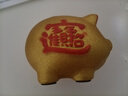 第吉爾金豬存錢(qián)罐只進(jìn)不出兒童陶瓷儲蓄罐儲錢(qián)罐大容量可愛(ài)擺件禮物便宜 福氣豬只進(jìn)不出款【帶金墊】 長(cháng)寬高【14*13*11】存1萬(wàn) 曬單實(shí)拍圖