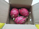 廣東紅肉火龍果新鮮采摘現摘現發(fā) 單果200g+ （2粒） 曬單實(shí)拍圖