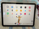 Apple/蘋(píng)果【國(guó)家補(bǔ)貼】iPad 11英寸 A16芯片2025年款 平板電腦 (128GB WLAN版/學(xué)習(xí)辦公娛樂(lè))黃色 曬單實(shí)拍圖