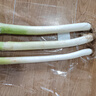 【產(chǎn)地直采】大蔥約450g 曬單實拍圖