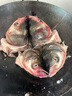 漁之源2025新款硬殼魚(yú)竿包釣魚(yú)包多功能漁具收納包手竿魚(yú)桿傘包一體 【便攜加硬】130*10cm絲光白 主圖款 曬單實(shí)拍圖