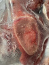 羋羊羊 寧夏灘羊肉 羊小腿切塊4斤小腿 羊肉生鮮 火鍋燒烤 清真源頭直發(fā) 曬單實(shí)拍圖