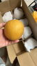 山姆大叔正宗山東萊陽(yáng)秋月梨【可送貨上門(mén)】特大果水果禮盒當季整箱官方 特大果【單果約300-500g】 5斤裝【80%選擇超劃算】?jì)?.5斤 曬單實(shí)拍圖
