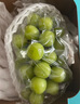 【產(chǎn)地直采】陽光玫瑰青提 1.5kg 單果8g起 曬單實拍圖