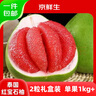 京鮮生泰國紅寶石柚 青皮紅肉 2粒禮盒裝 單果1kg+ 源頭直發(fā)包郵 曬單實拍圖