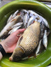 魚鉤套裝釣魚鉤用品全套太空豆鉛皮座漂座八字環(huán)大物組合漁具配件 6+1【基礎(chǔ)套裝】 不帶魚鉤魚線 曬單實(shí)拍圖