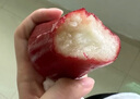 京鮮生 紅寶石蓮霧 凈重2斤裝7-10個(gè) 單果100g+生鮮水果源頭直發(fā)包郵 曬單實(shí)拍圖