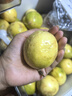 山姆大叔廣西欽蜜9號黃金百香果【中通順豐速運-可送貨上門(mén)】水果中秋禮盒 S+級【我蕞甜】單果70g-90g 5斤裝【80%超劃算】?jì)?.5斤 曬單實(shí)拍圖