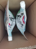 威露士清可新洗衣液松木香18.5斤（3L瓶+2.25L+2L袋x2）除菌除螨除霉味 曬單實拍圖