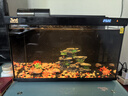 森森金麟超白智能魚缸小型桌面免換水生態(tài)魚缸一體缸自循環(huán) 【自動(dòng)喂食】LE-480B+加熱棒 曬單實(shí)拍圖