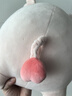 名創(chuàng  )優(yōu)品（MINISO）小豬柴犬狗抱枕靠枕床頭靠墊趴睡枕沙發(fā)卡通可愛(ài)軟沙發(fā)布藝擺件 BOBO豬抱枕 曬單實(shí)拍圖