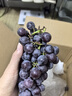 鮮級佳 【順豐速運】夏黑葡萄藍莓葡萄脆甜無(wú)籽現摘孕婦水果巨峰葡萄 3斤【超劃算】精選裝 A+級精選果【酸甜可口】 曬單實(shí)拍圖