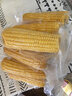 商超同款10根】新店沖量東北糯玉米黃糯玉米真空包裝當季糯玉米 【10棒】均重300克以上大棒】 新店沖量【活動(dòng)】每人1單已搶25W 曬單實(shí)拍圖