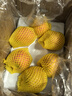 佳農(nóng) 煙臺(tái)紅富士蘋(píng)果 凈重10斤大果 果徑85mm+ 禮盒裝 生鮮水果 曬單實(shí)拍圖