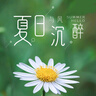 好奇（Huggies）鉑金裝小桃褲紙尿褲L120片(9-14kg)大號(hào)尿不濕【消暑散熱】 曬單實(shí)拍圖