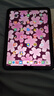 Apple/蘋果 iPad11英寸 A16芯片2025年款 平板電腦 (256GB WLAN版/學(xué)習(xí)辦公娛樂)銀色 曬單實拍圖
