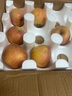 京鮮生 山東荷蘭水果黃瓜凈重5斤 單果100g+ 健康輕食早餐 源頭直發(fā) 曬單實(shí)拍圖