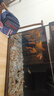 森森金麟超白玻璃魚(yú)缸一體缸自循環(huán)客廳小型LE-380B 曬單實(shí)拍圖