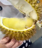 源外 泰國進(jìn)口金枕榴蓮老樹果 當(dāng)季新鮮整個帶殼金枕頭報恩盲盒水果 精選3-4斤單果（包3-5房） 曬單實(shí)拍圖