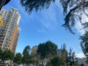 棉十三兒童襪子新疆棉抗菌防螨秋冬季卡通可愛(ài)男孩寶寶透氣中大童襪7雙 曬單實(shí)拍圖