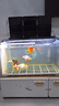 森森（SUNSUN）魚缸水泵小型潛水泵過濾泵抽水泵YQP-1500 23W 曬單實(shí)拍圖