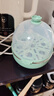 九陽(yáng)（Joyoung）煮蛋器多功能智能蒸蛋器7個(gè)蛋量 ZD7-GE130（飛泉綠） 曬單實(shí)拍圖